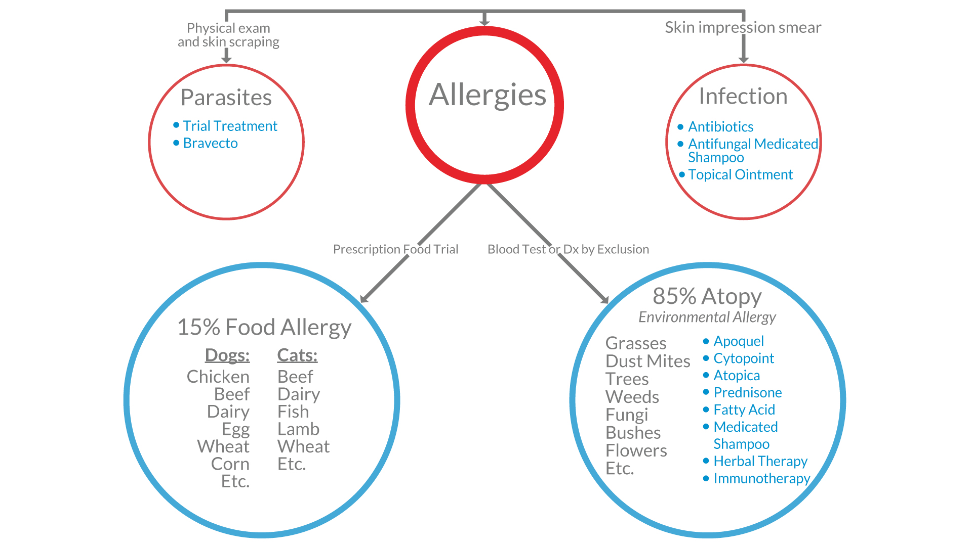 Pet Allergy Work Up Sheet