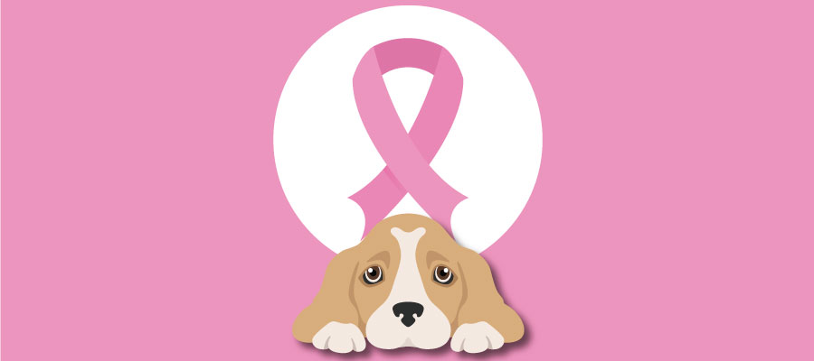 Breast Cancer In Dogs