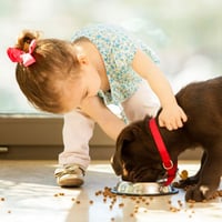 Toddler playing with dog