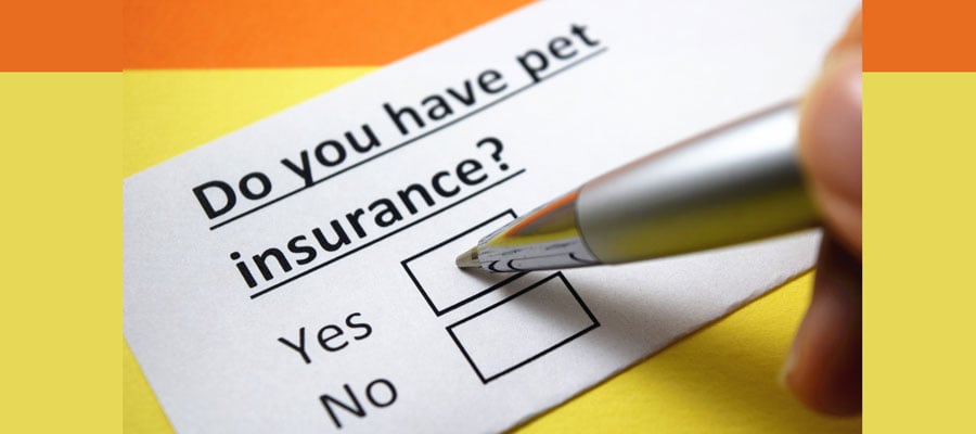 Pet-Insurance