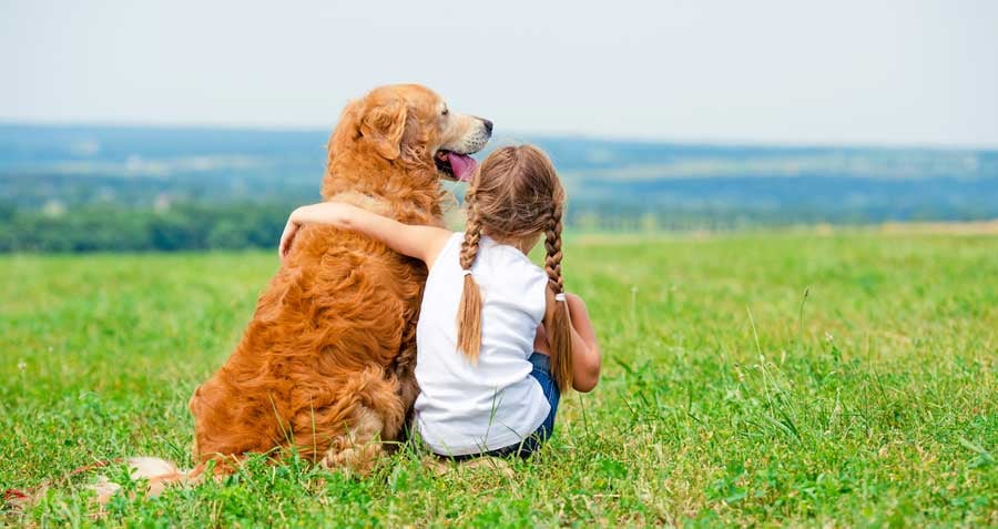 Pet care and hugging your dog