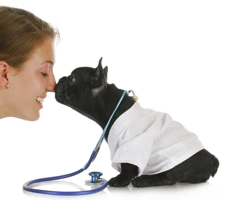 Pet Vaccination Clinic