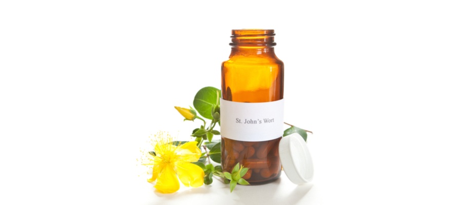 St Johns Wort for pets