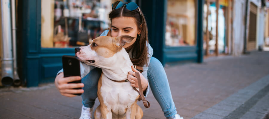 Taking a picture with dog