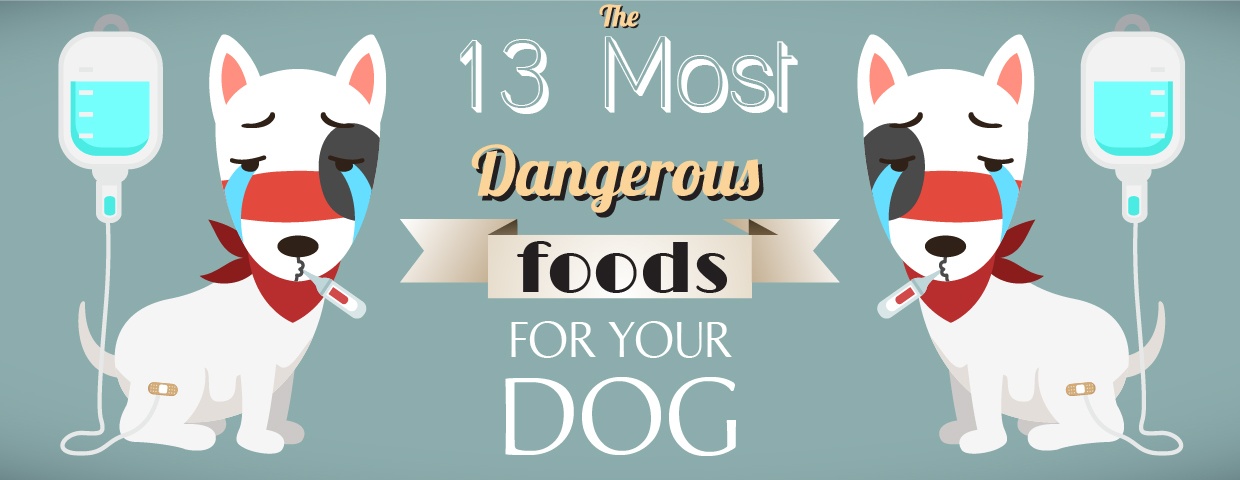 13 Most Dangerous Foods banner 