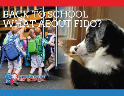 Back-to-school-What-about-Fido_Cover.jpg
