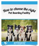 Choosing the right pet boarding facility