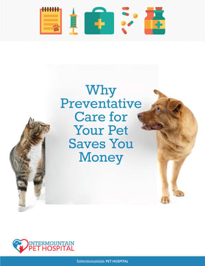 Why Pet Preventative Care Works