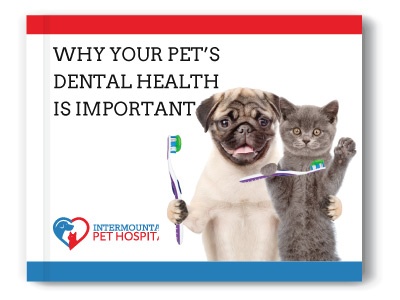 Pet Dental Health ebook