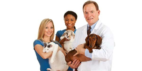 Veterinary Services 