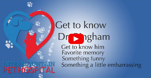 Get to know Dr. Bingham