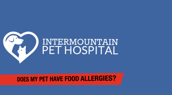 Pet-Food-Allergy