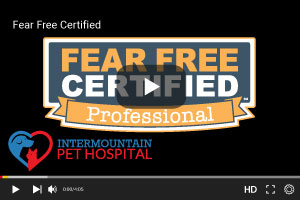 Fear Free Certified Hospital