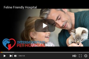 Feline Friendly Hospital.jpg