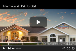 Intermountain Pet Hospital