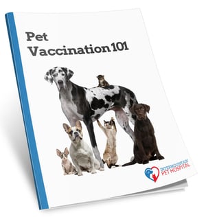 Pet Vaccination 101 