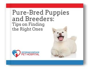 Pure Bred Puppies and Breeders