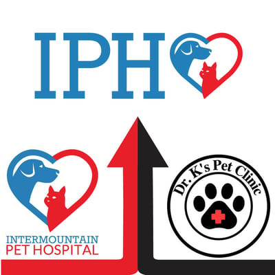 IPH Merge Dr Ks Pet Clinic
