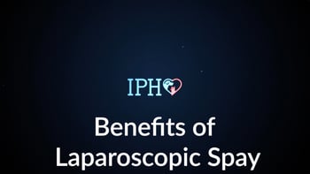 Benefits-laparoscopic-intro