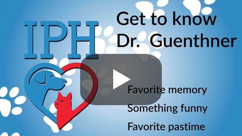 Get to know Dr. Guenthner