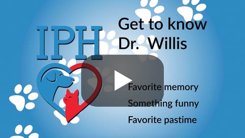 Get to know Dr. Willis