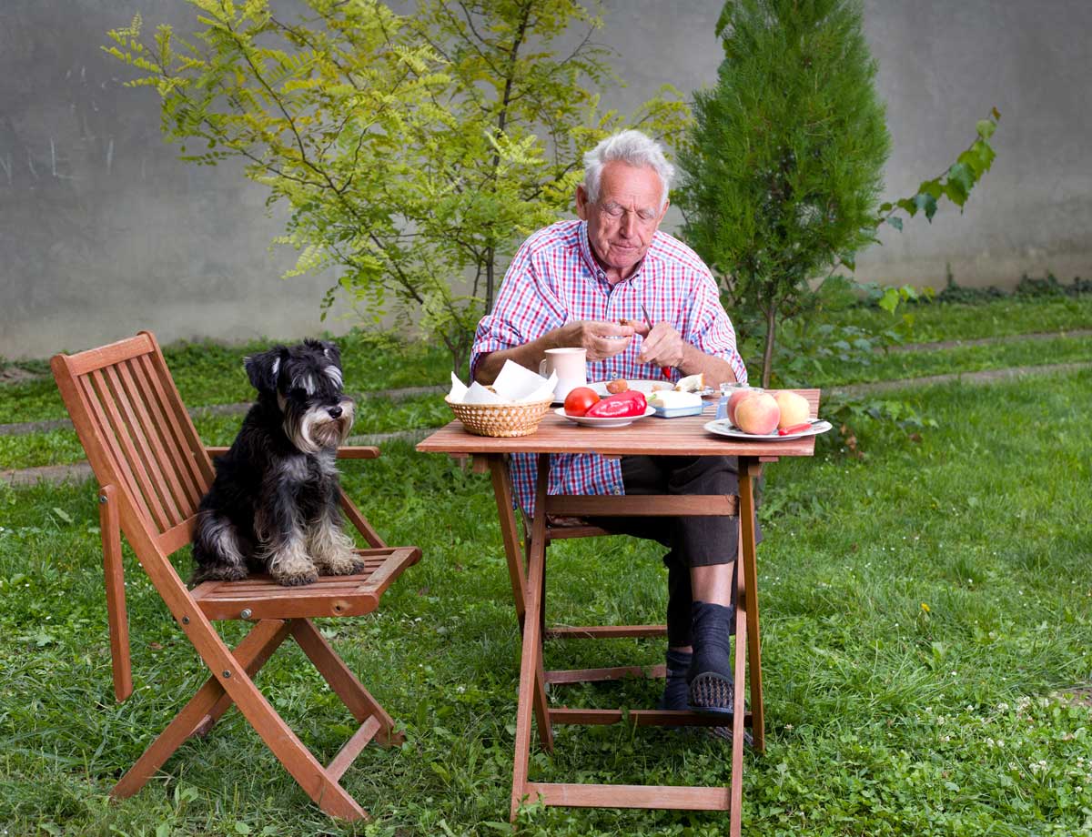dog having breakfast with owner