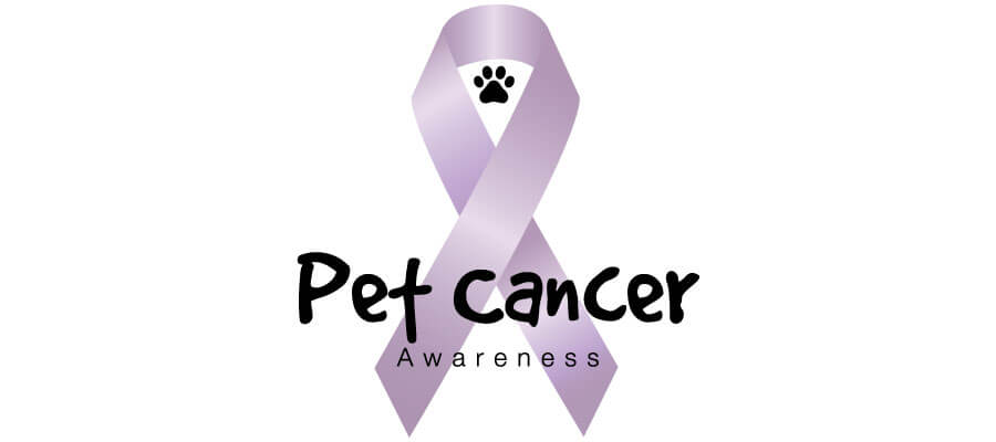 Pet Cancer Awareness