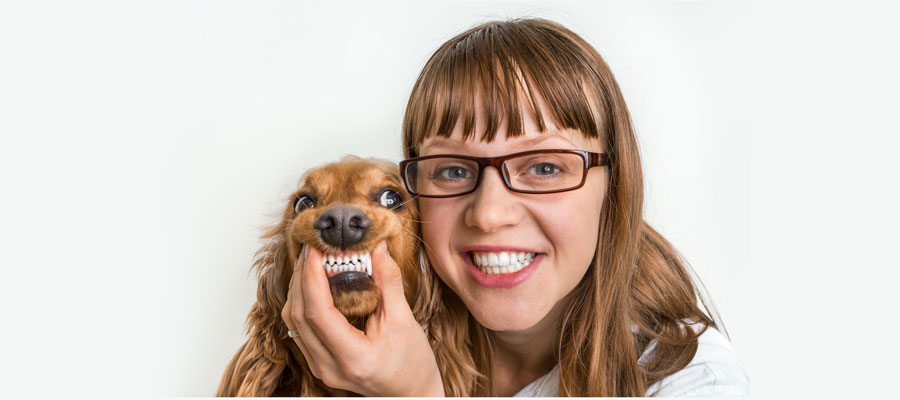 Dog with Vet Dentist